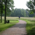 vergrößern