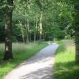 vergrößern